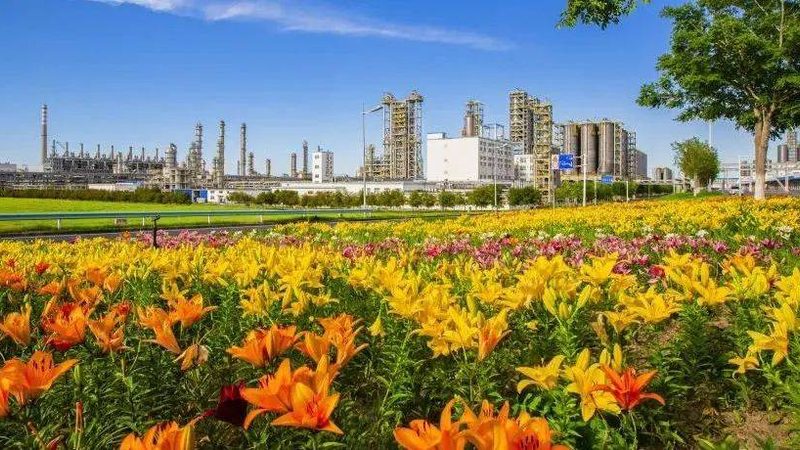 汽车工程塑料加工流程解析：从选材到成品